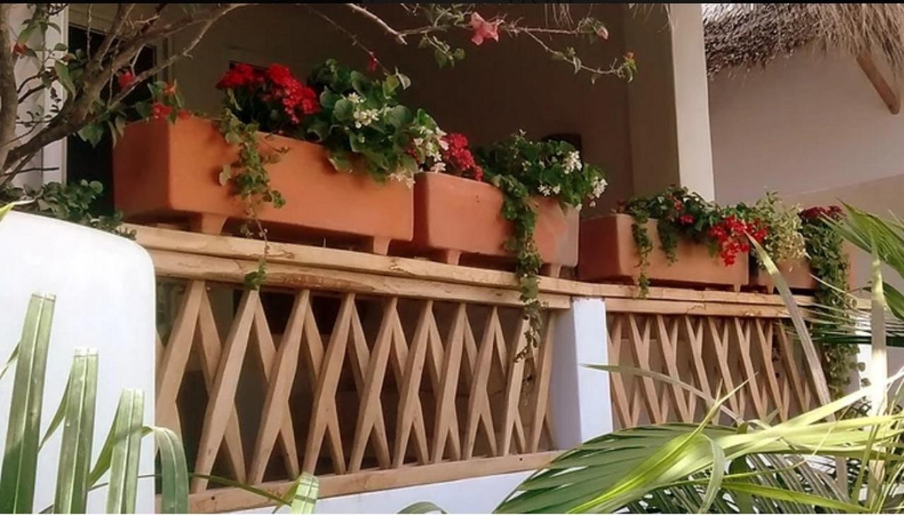 Villa Maria Bed And Breakfast 埃斯孔迪多港 外观 照片