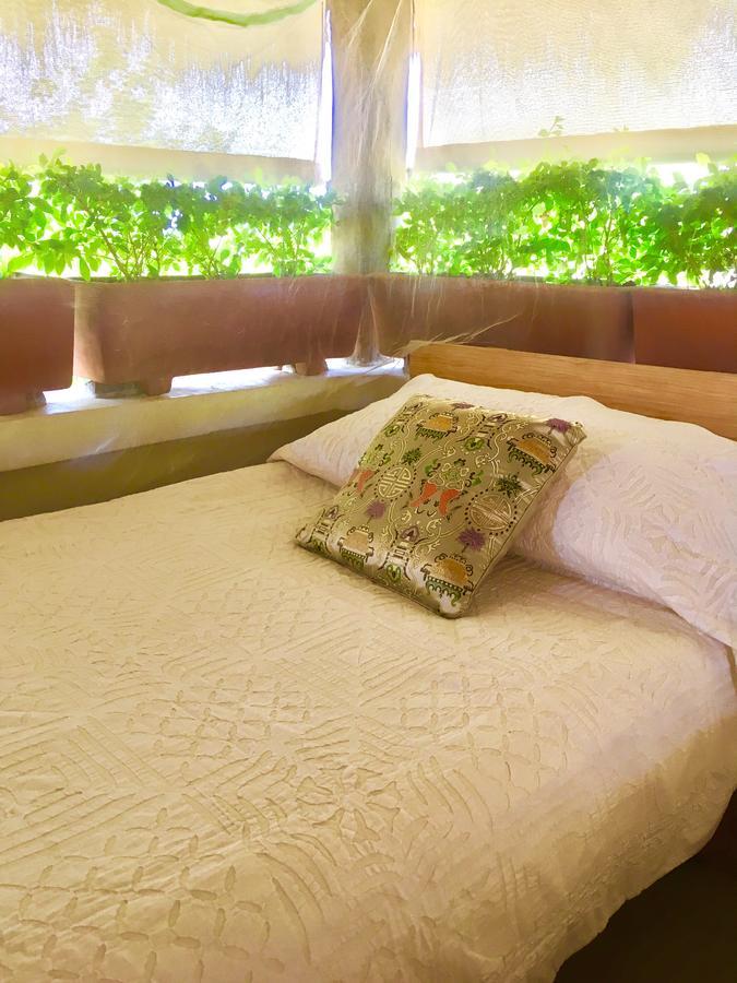 Villa Maria Bed And Breakfast 埃斯孔迪多港 外观 照片